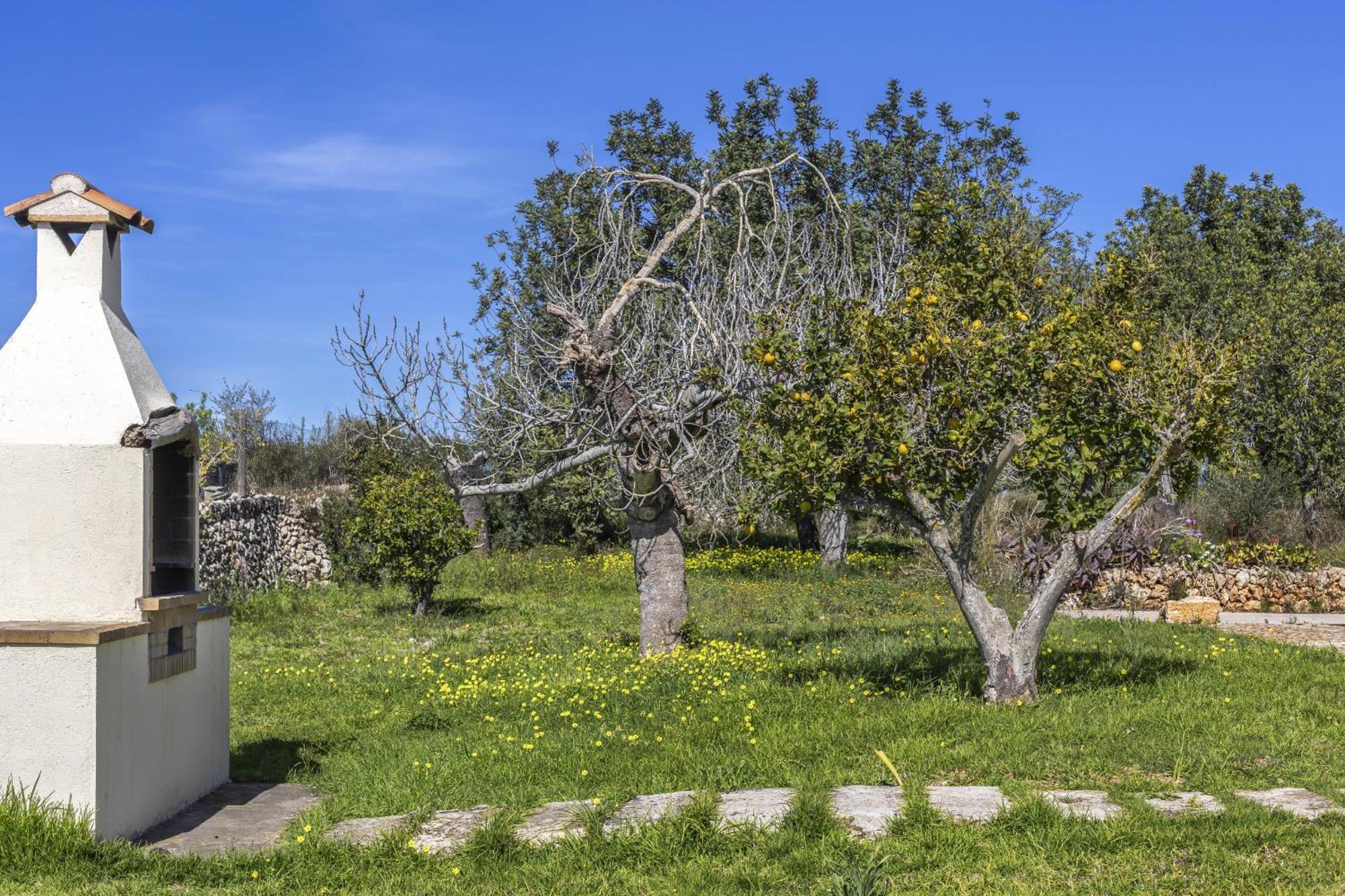 Finca Sa Torreta Santa Margalida Luaran gambar