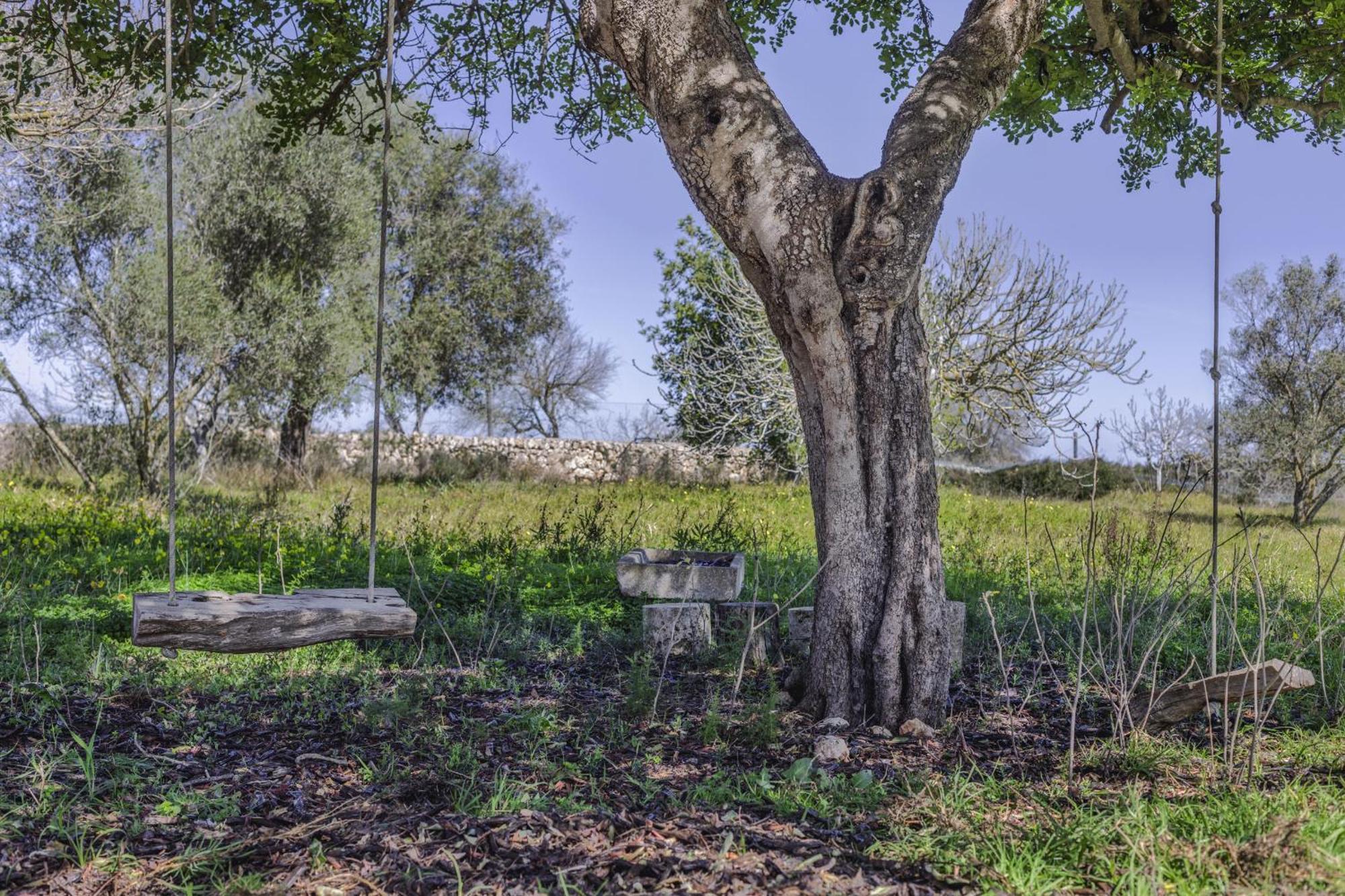 Finca Sa Torreta Santa Margalida Luaran gambar